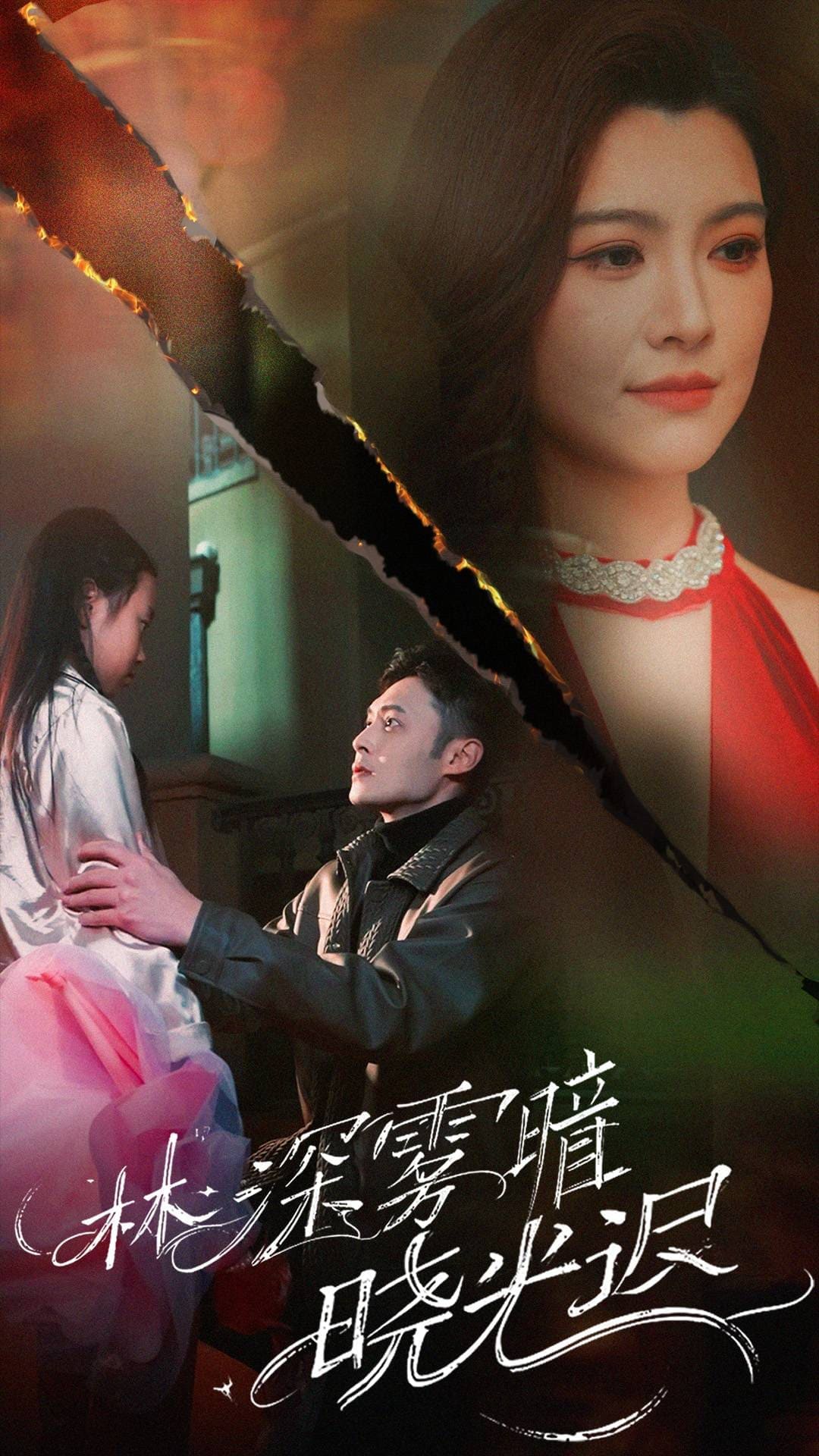 林深雾暗晓光迟海报