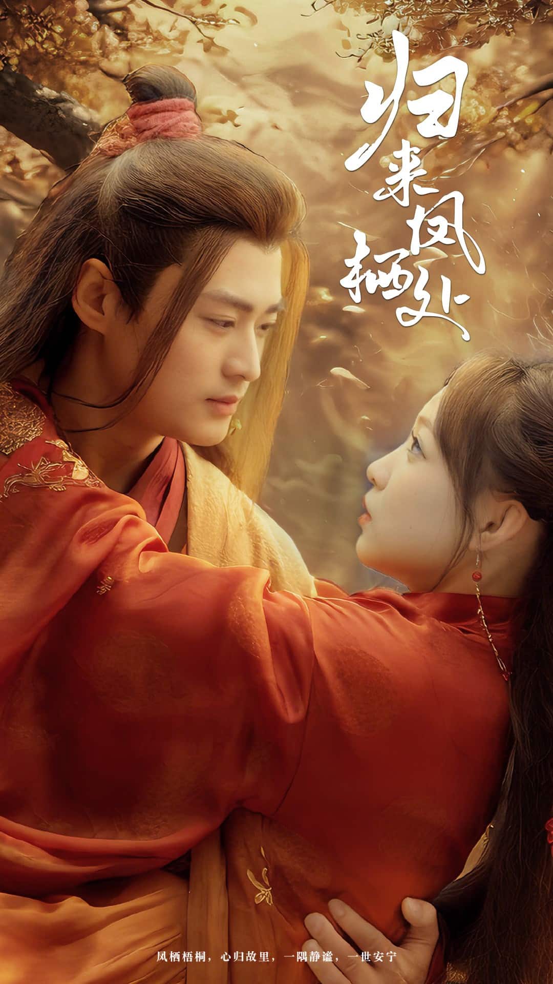 归来凤栖处海报