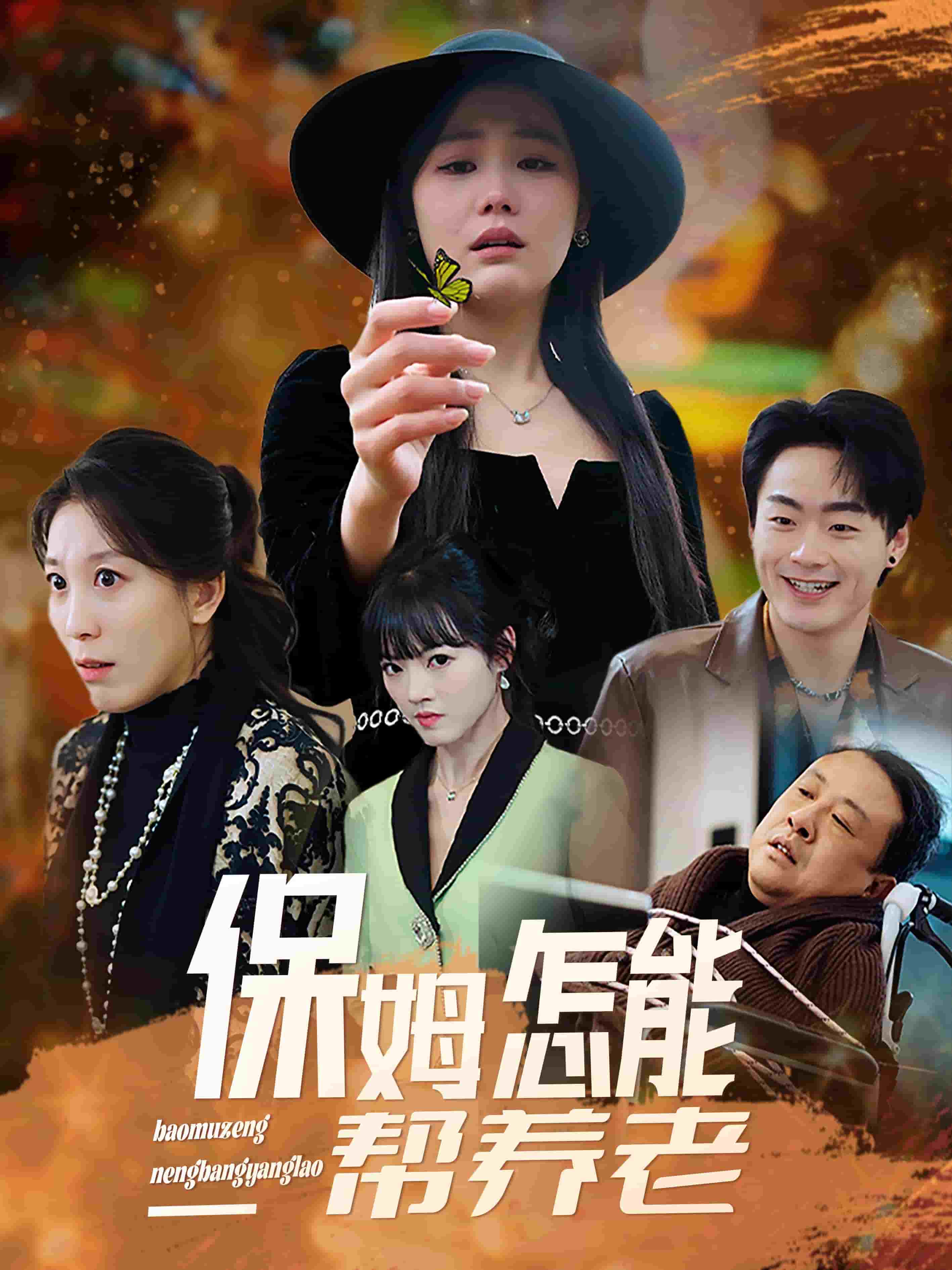 保姆怎能帮养老海报