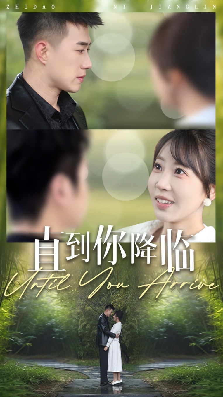 直到你降临海报