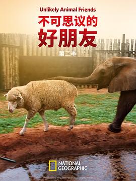 不可思议的好朋友第二季海报