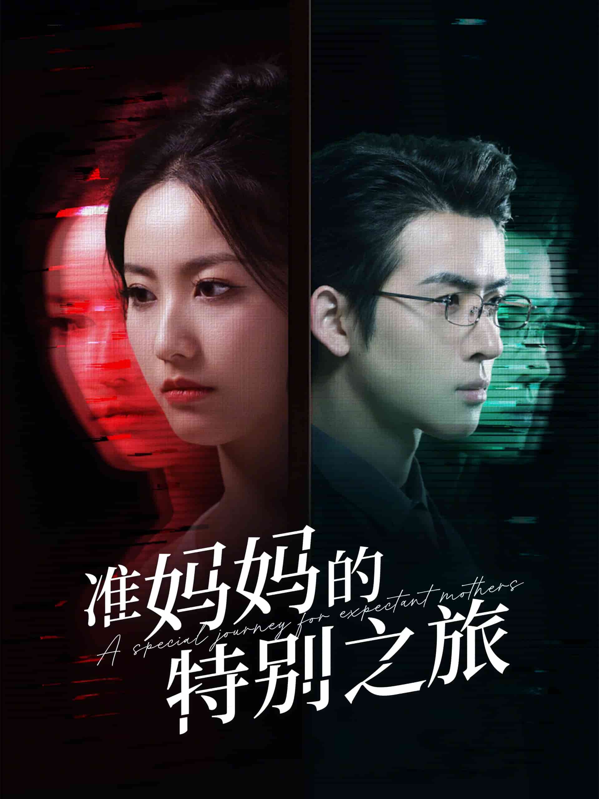 准妈妈的特别之旅海报