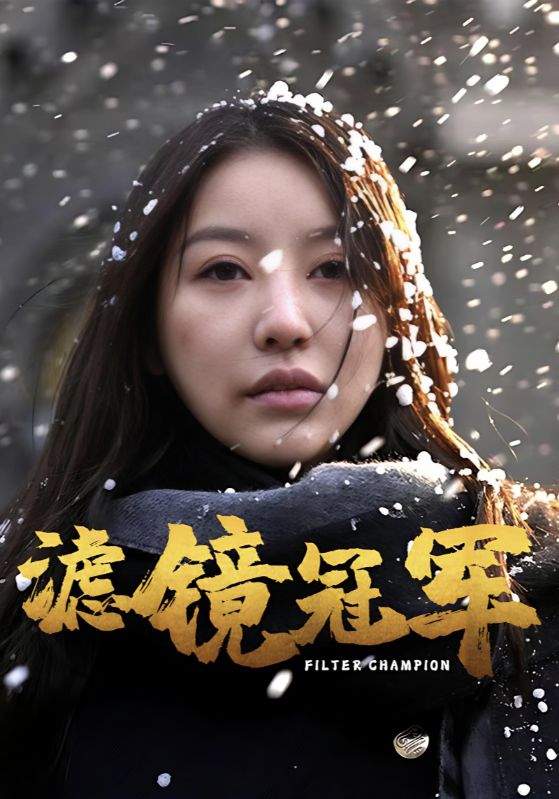 滤镜冠军海报