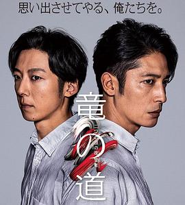 龙道 双面复仇者海报