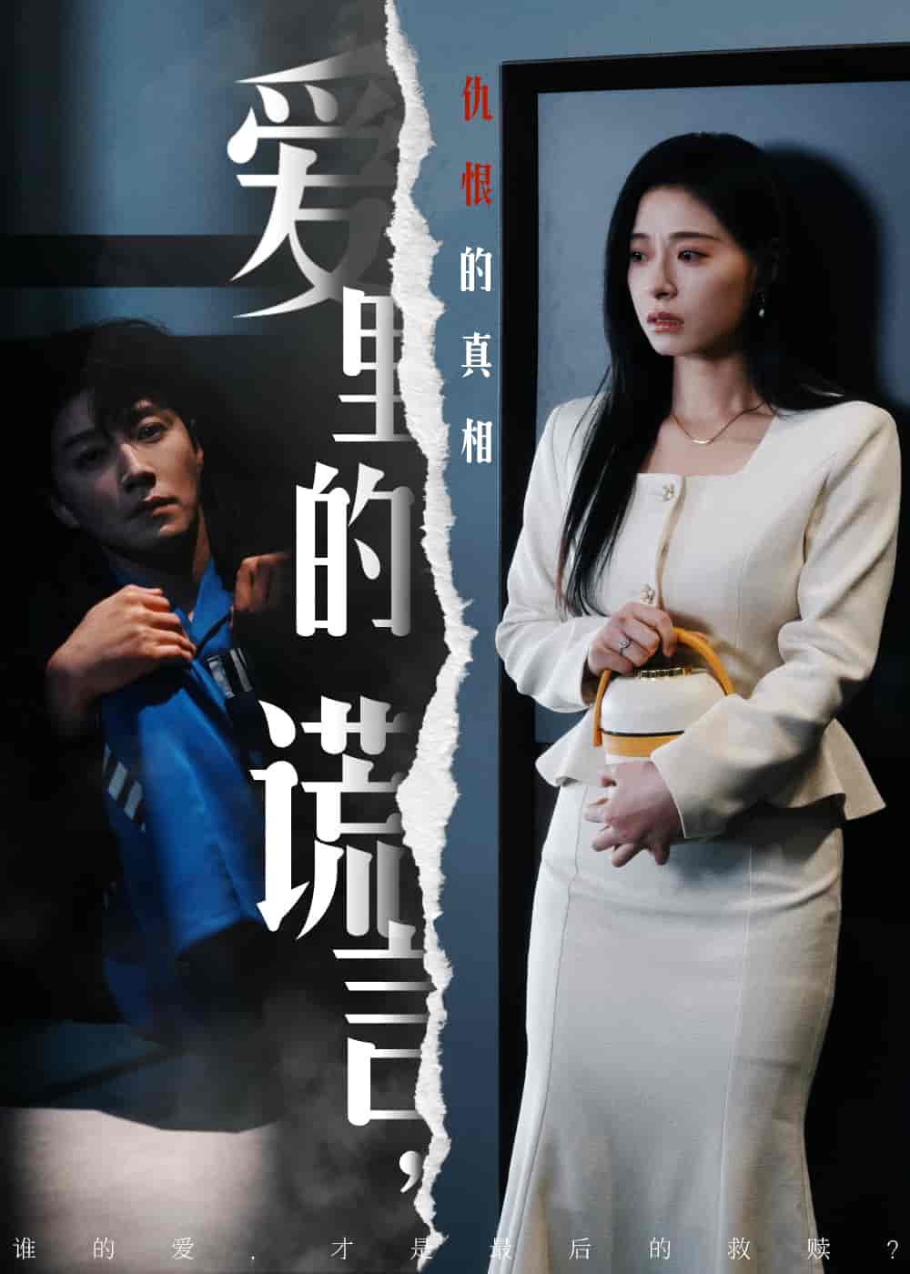 爱里的谎言，仇恨的真相海报