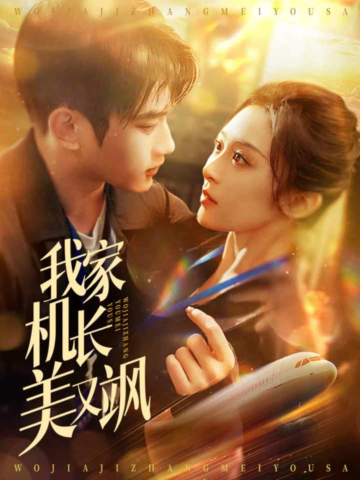 我家机长美又飒海报