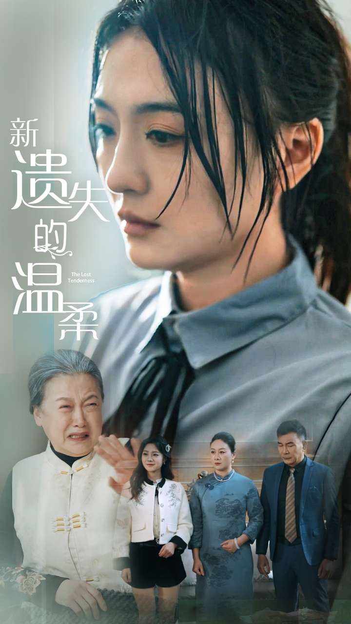 新遗失的温柔海报