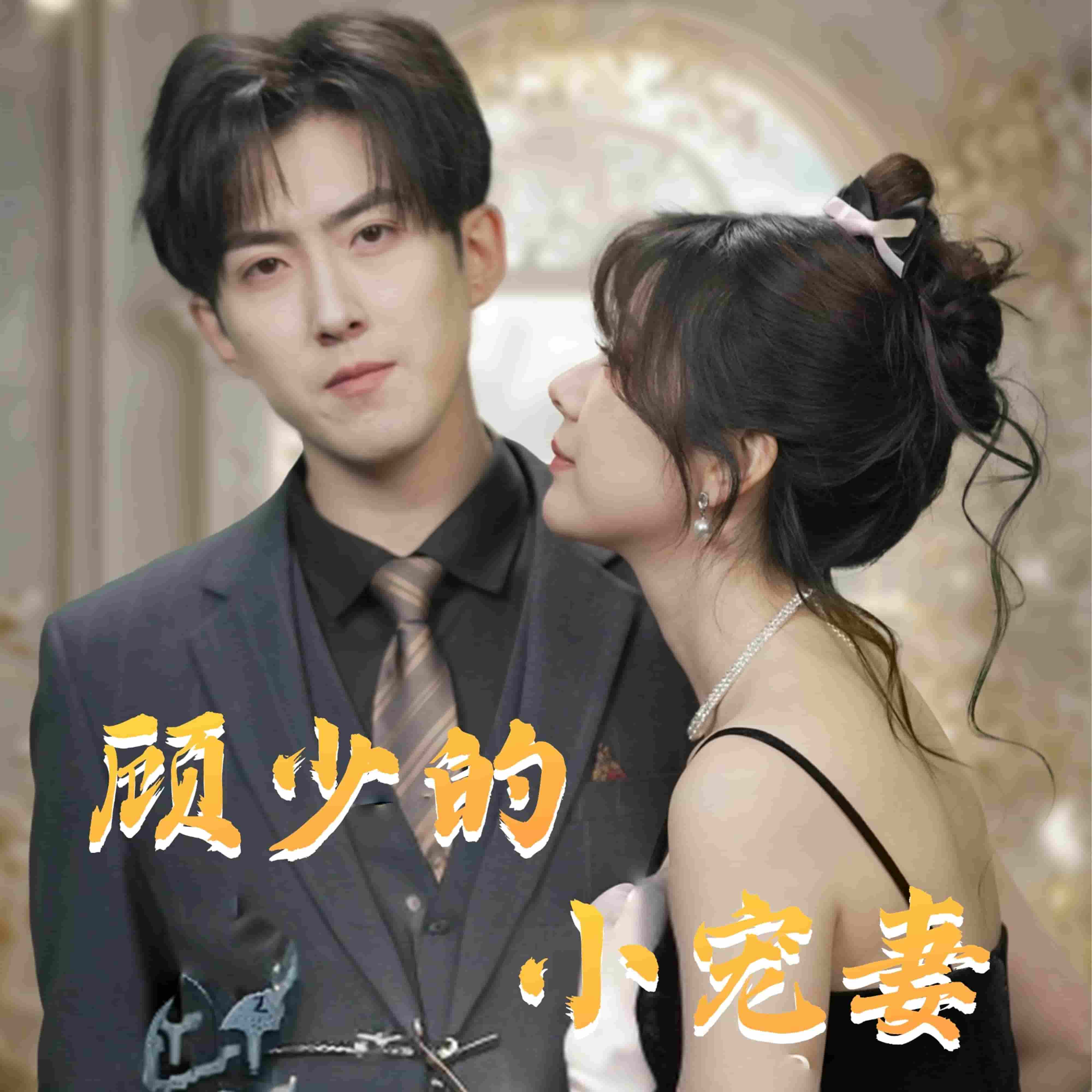 顾少的小宠妻海报