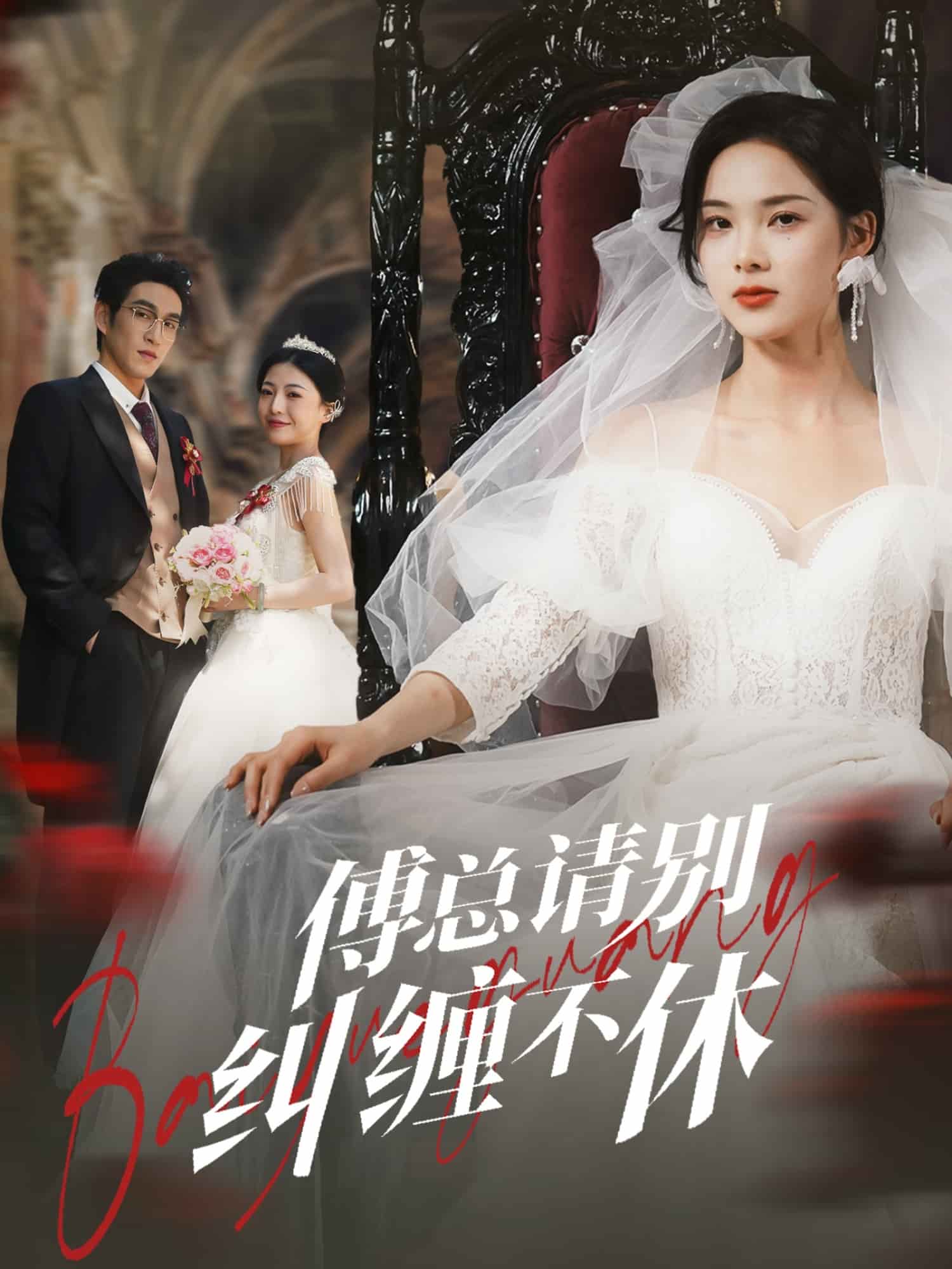 傅总请别纠缠不休海报