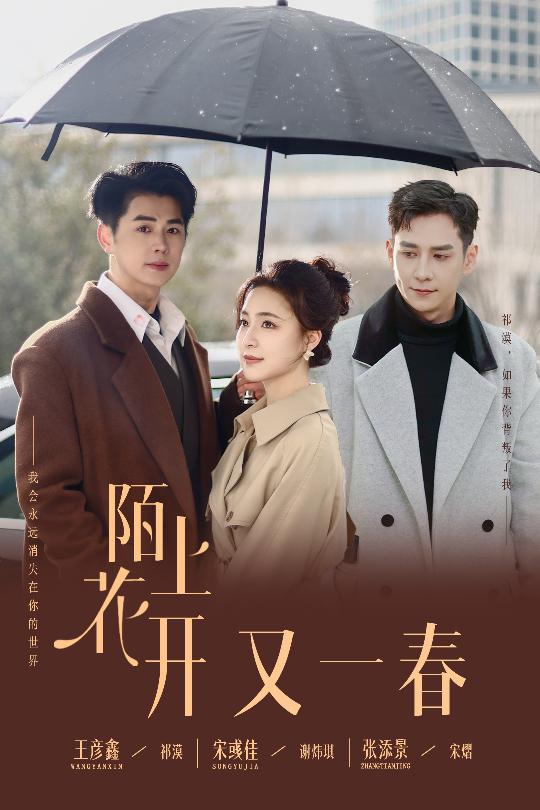陌上花开又一春海报