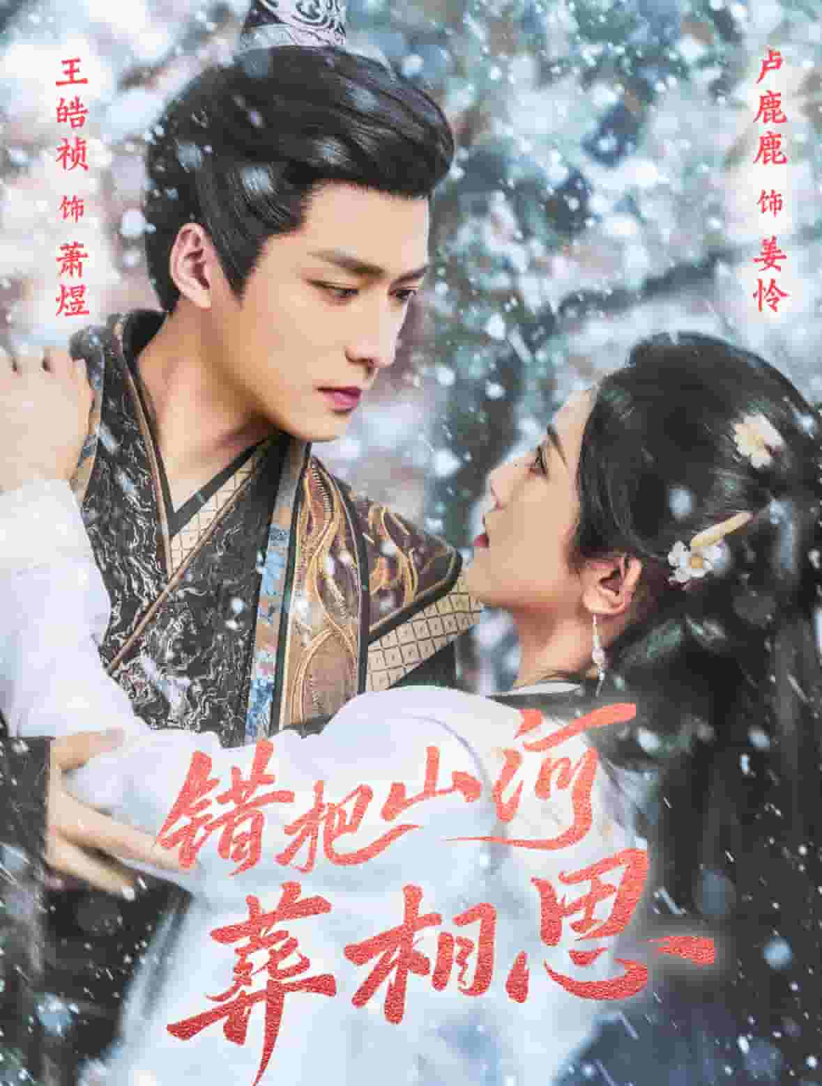 错把山河葬相思海报