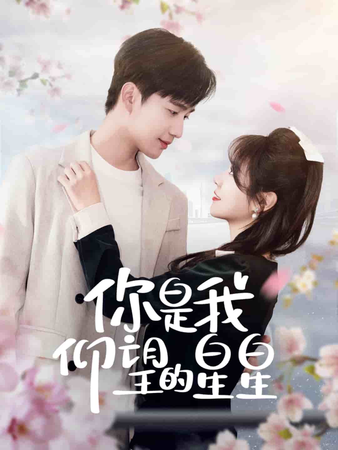 你是我仰望的星星海报