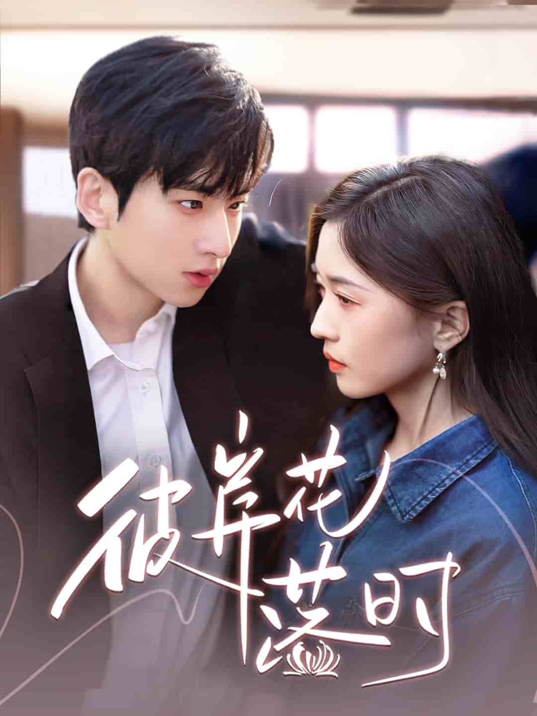 彼岸花落时海报