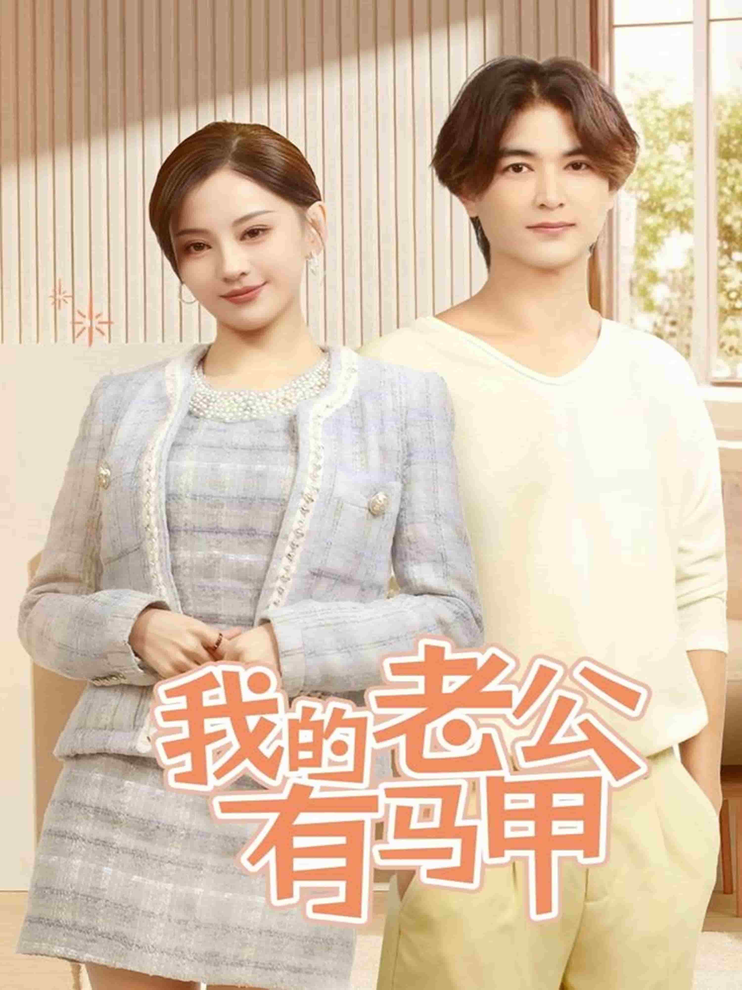 我的老公有马甲海报