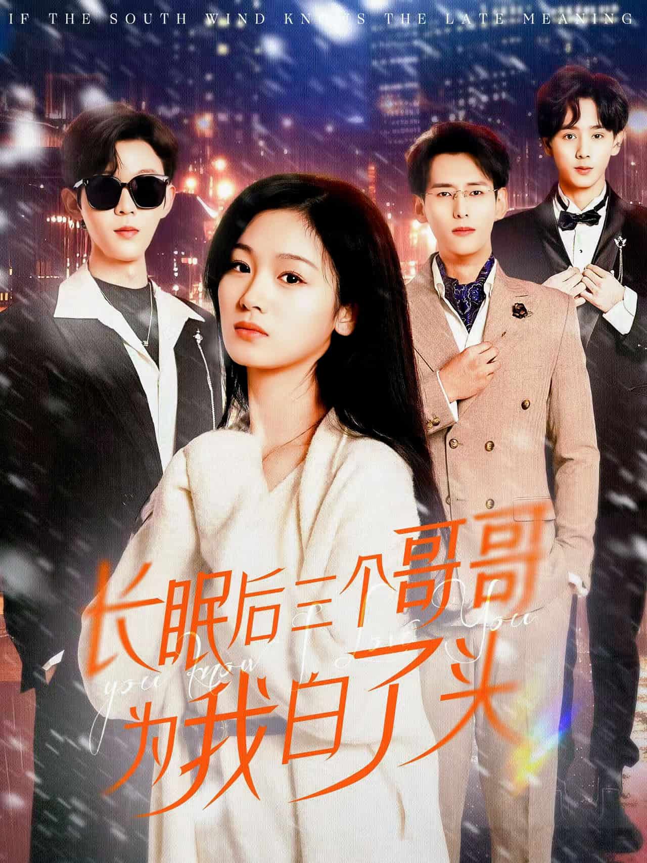 长眠后三个哥哥为我白了头海报