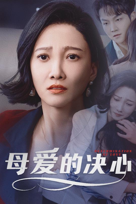 母爱的决心海报