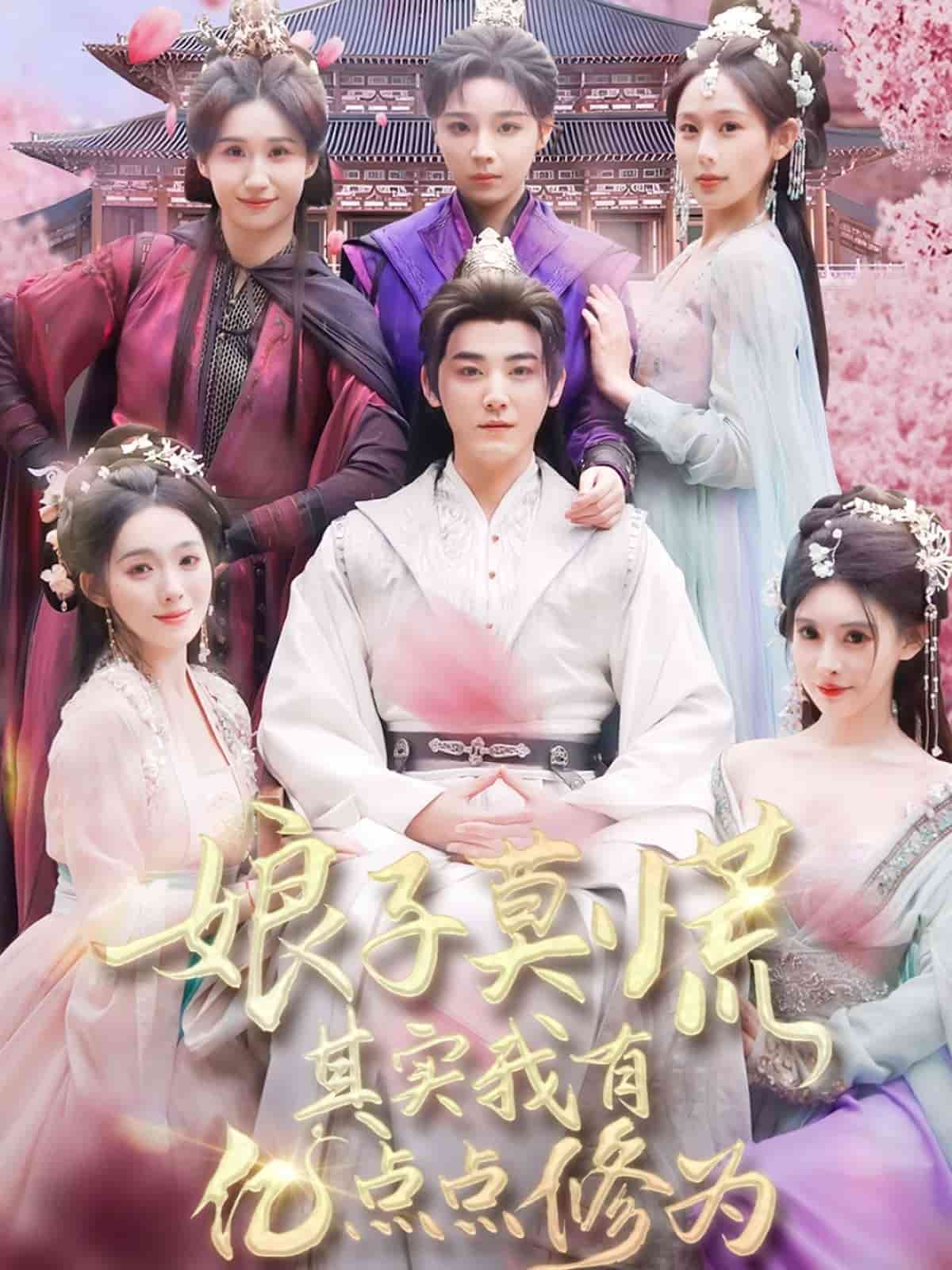 娘子莫慌其实我有亿点点修为海报