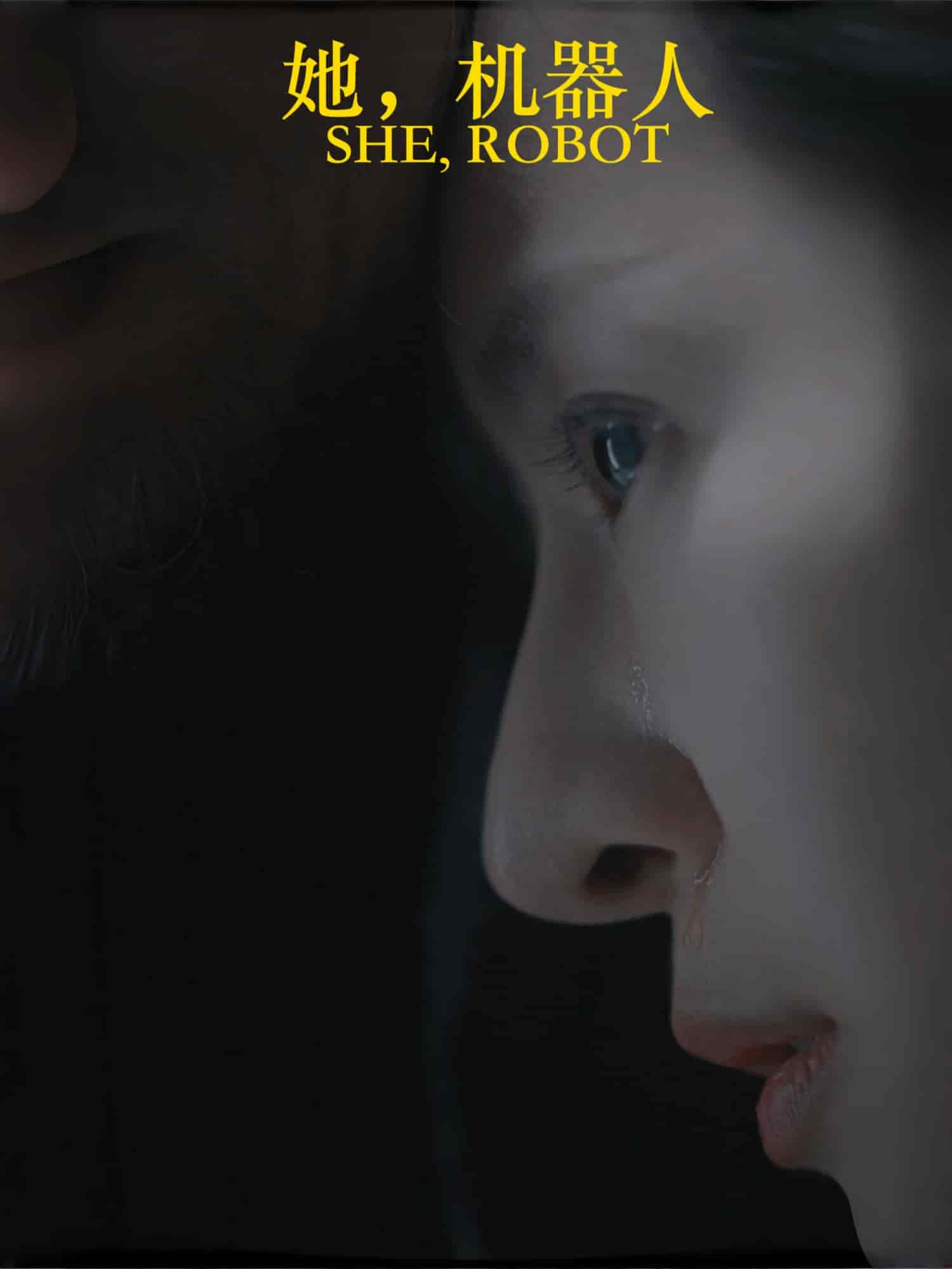 她，机器人海报