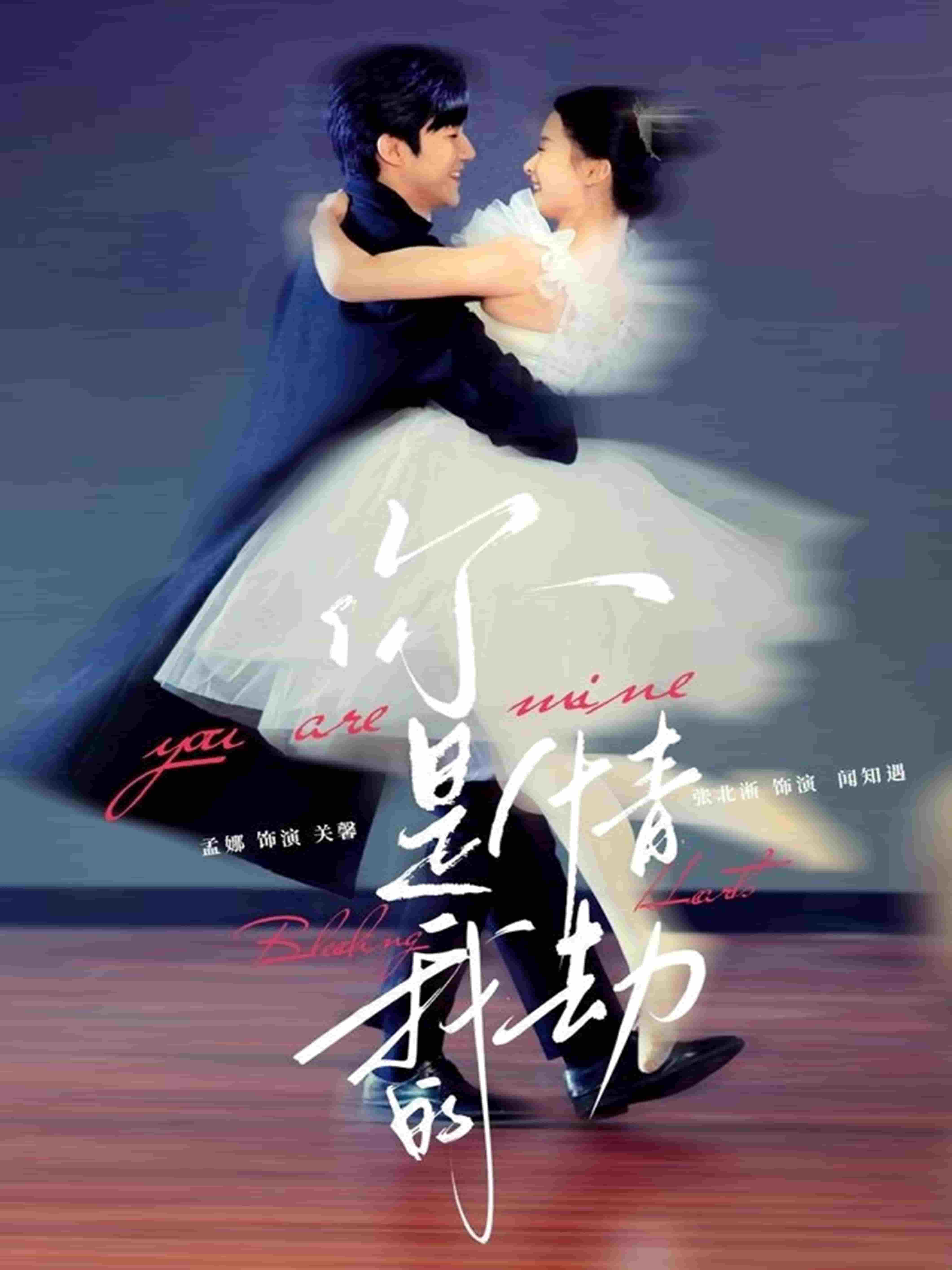 你是我的情劫海报