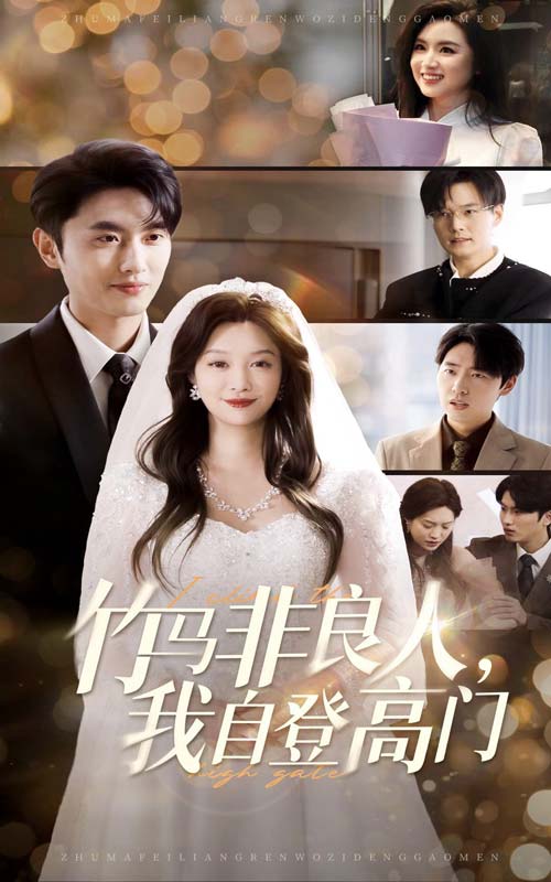 竹马非良人，我自登高门海报