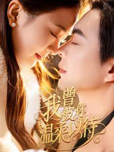 我曾被你温柔以待海报