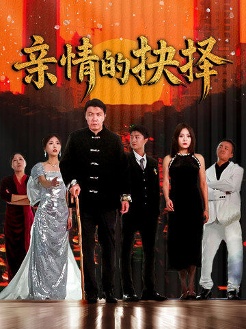 亲情的抉择海报