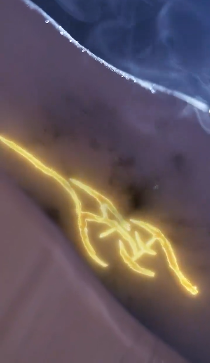 缘来仙妻就是你海报