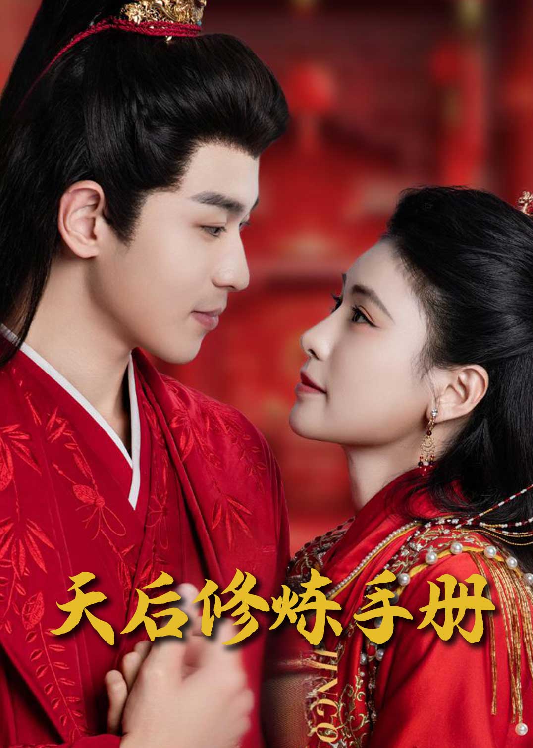 王妃娘娘闯现代海报