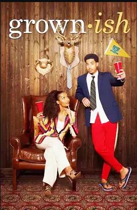 成长不容易第六季海报