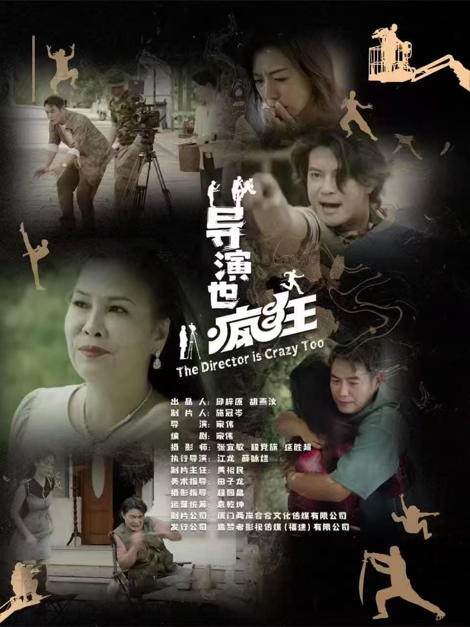 导演也疯狂海报