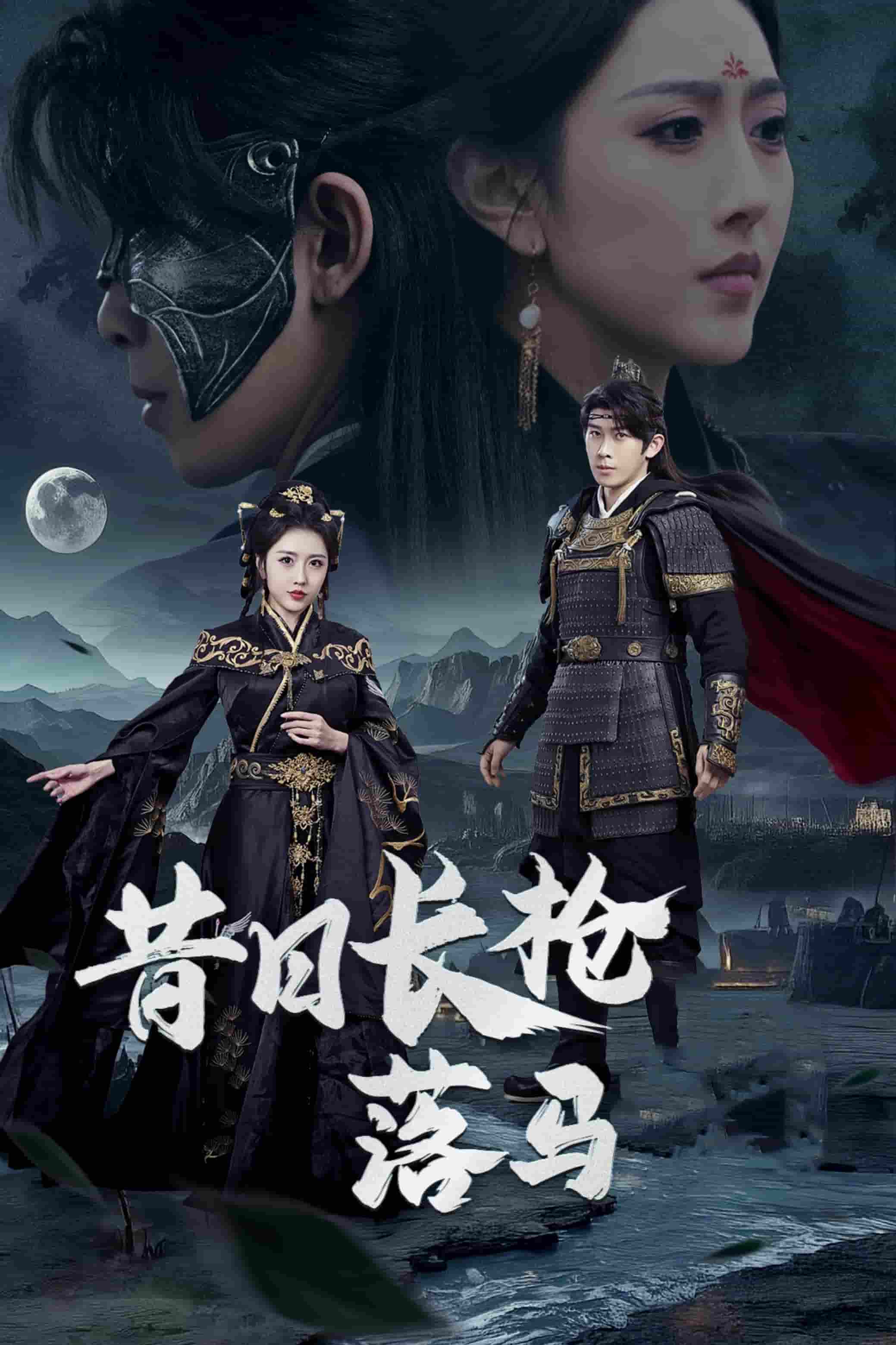 昔日长枪落马海报