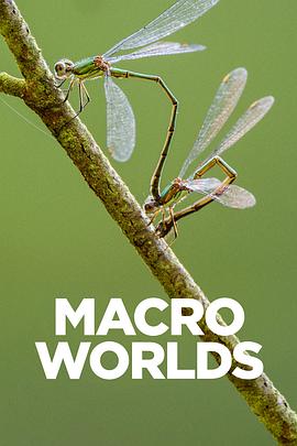 宏观世界2017海报