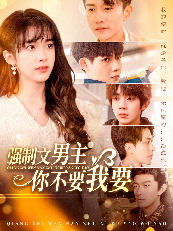 强制文男主你不要我要海报