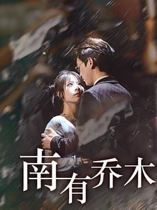 南有乔木海报