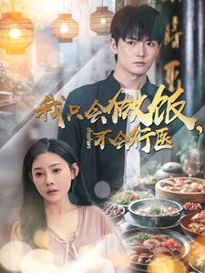 我只会做饭不会行医海报