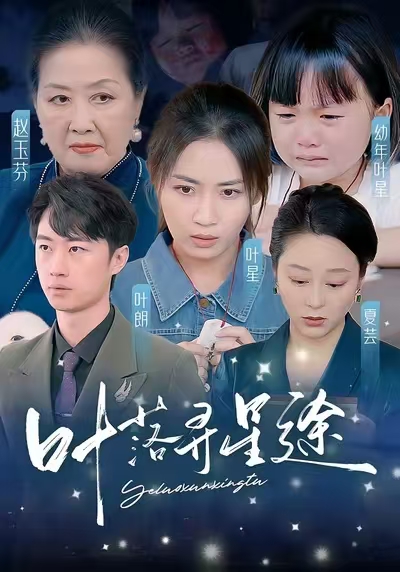 叶落寻星途海报