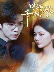 只待千帆尽海报