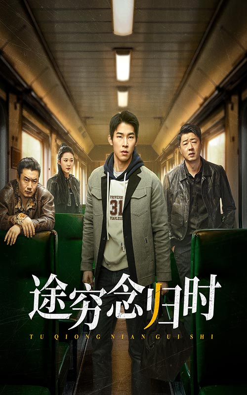 途穷念归时海报