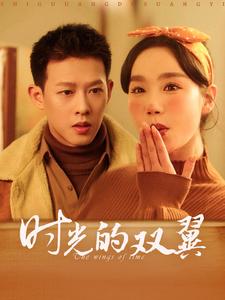 时光的双翼海报