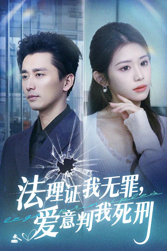 法理证我无罪，爱意判我死刑海报