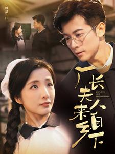 厂长夫人来自乡下海报