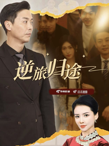 逆旅归途海报