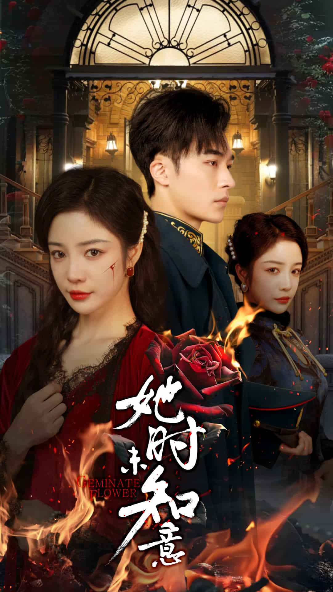 她时未知意海报