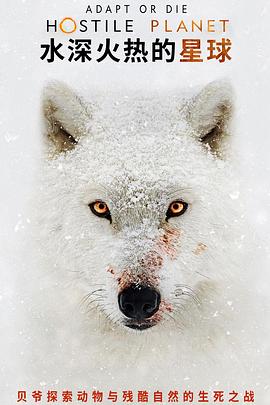 水深火热的星球海报