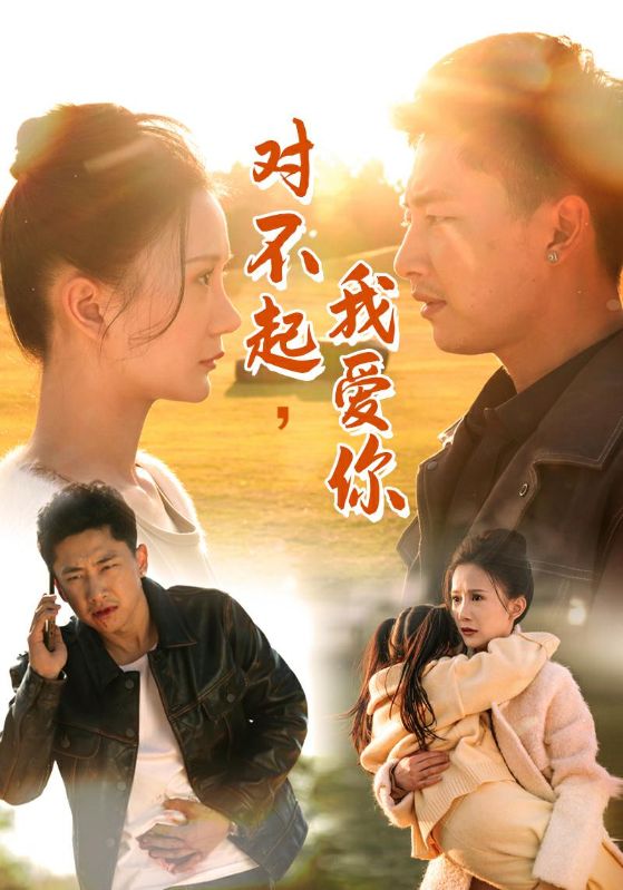 对不起我爱你海报