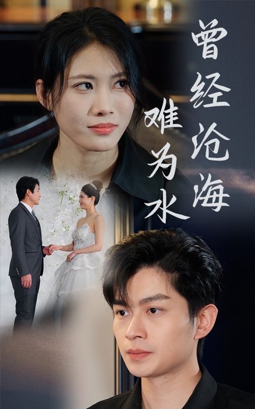 曾经沧海难为水（短剧版）海报