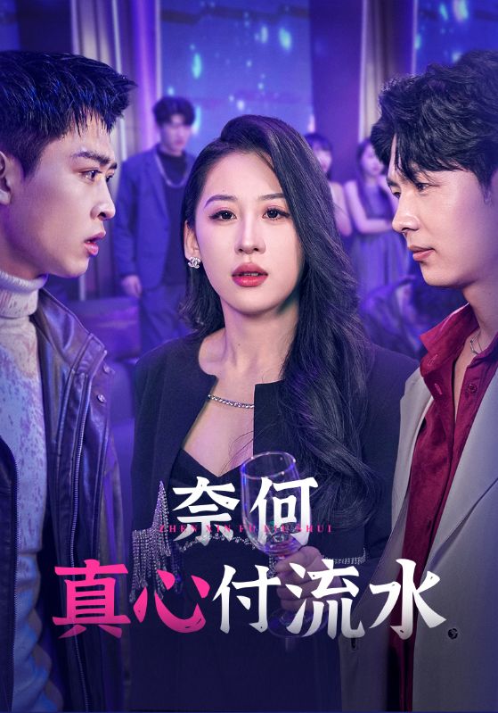 奈何真心付流水海报