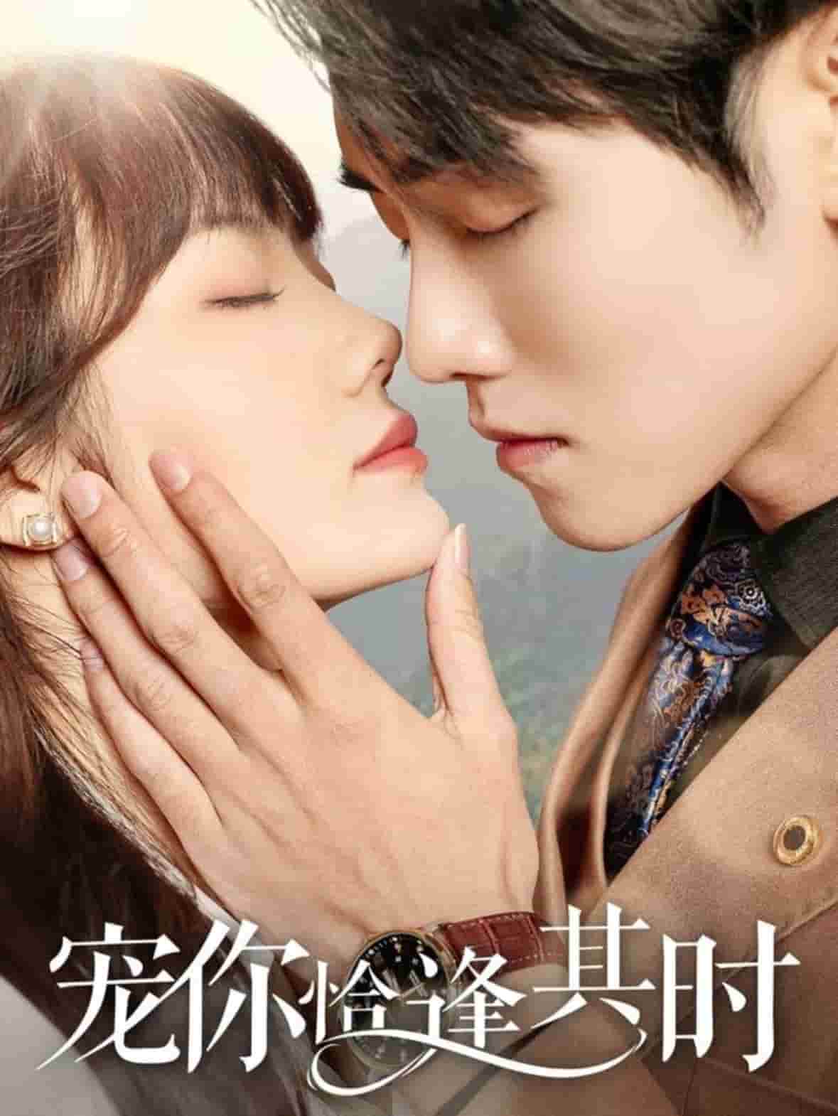 宠你恰逢其时海报