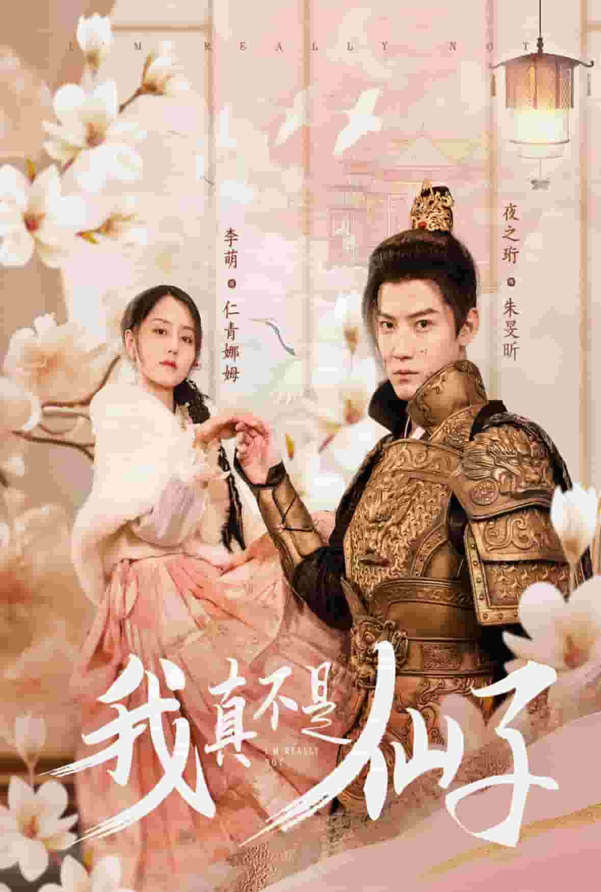 我真不是仙子海报