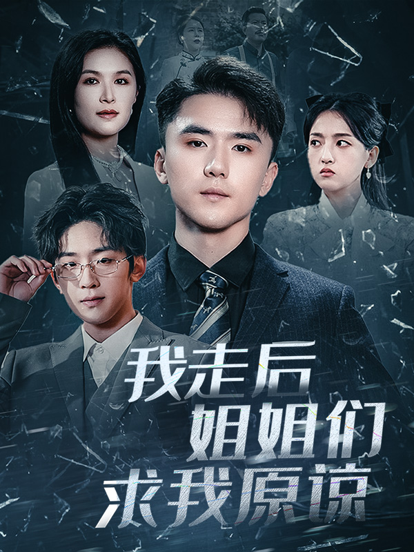 我走后姐姐们求我原谅海报